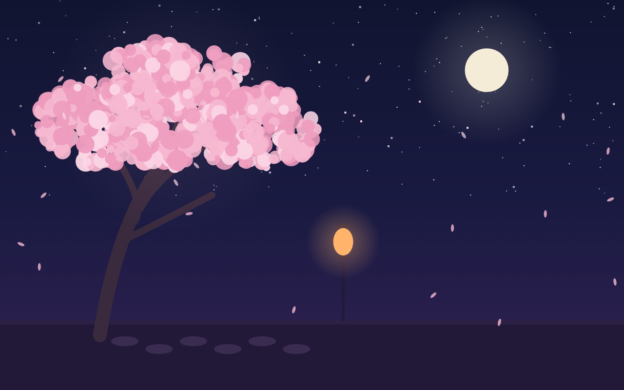 Midnight Sakura